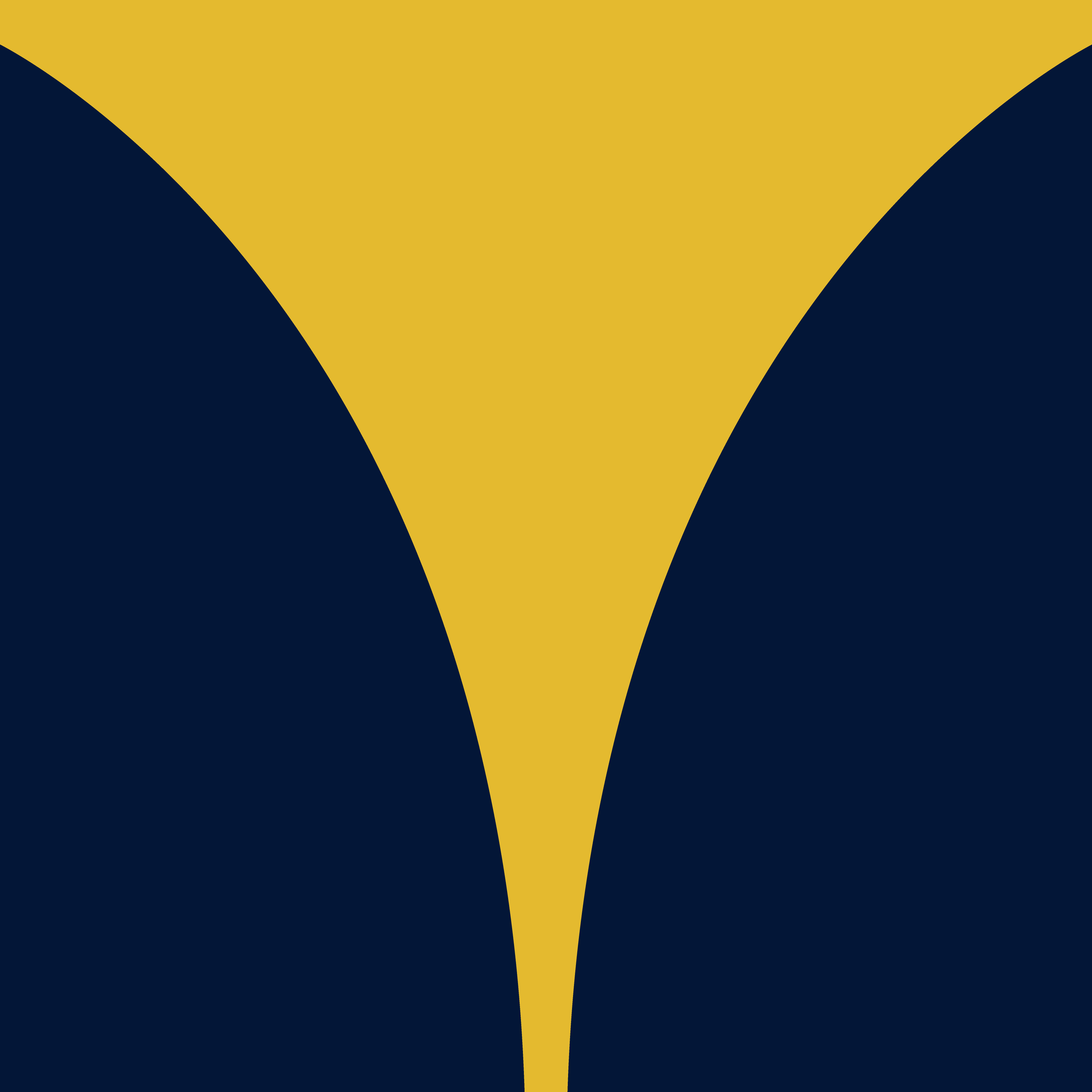 inkarnat logo